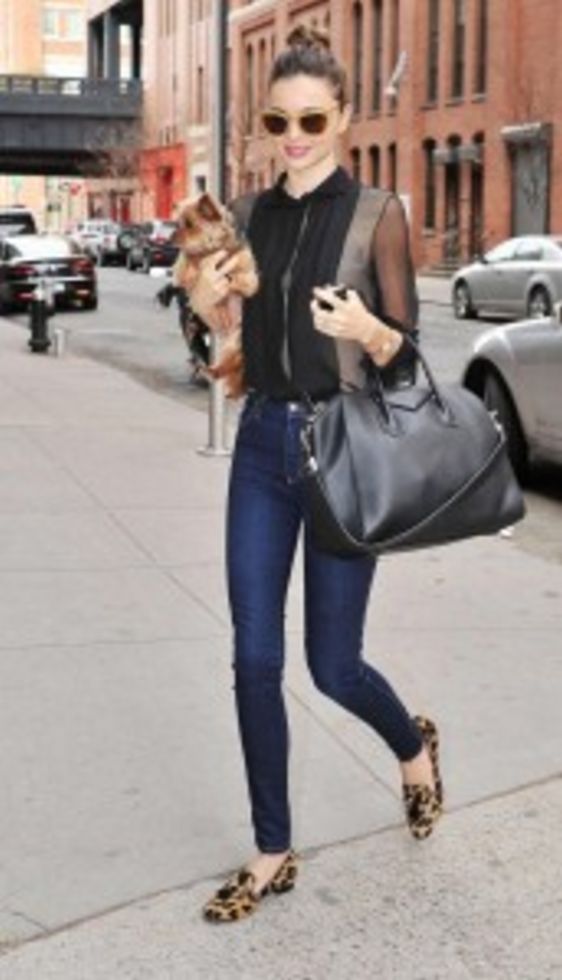 Miranda Kerr Taking Out and About with Her Puppy Frankie