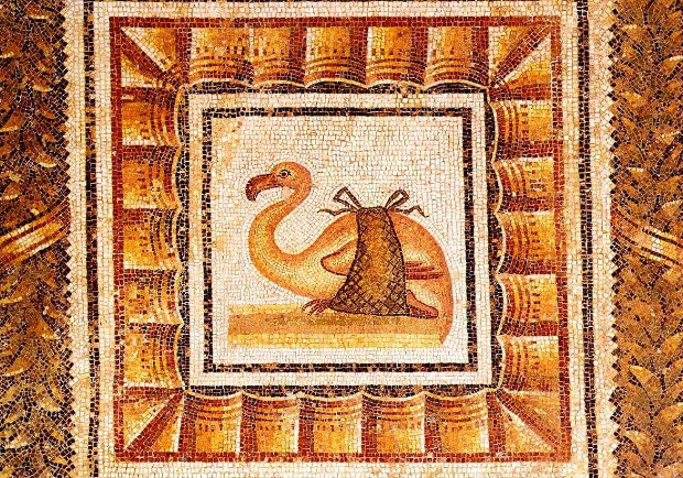 Φλαμίνγκο πιασμένο σε δίχτυ, από αρχαίο Ρωμαϊκό ψηφιδωτό
