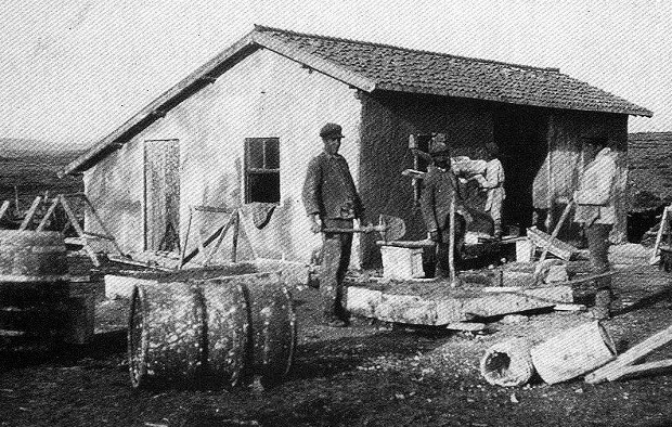 1458570_703485756368797_895143036_n