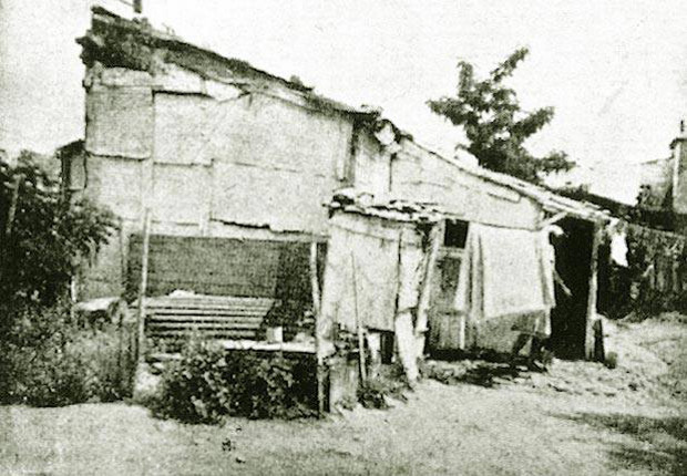 1619116_703485479702158_1434257386_n