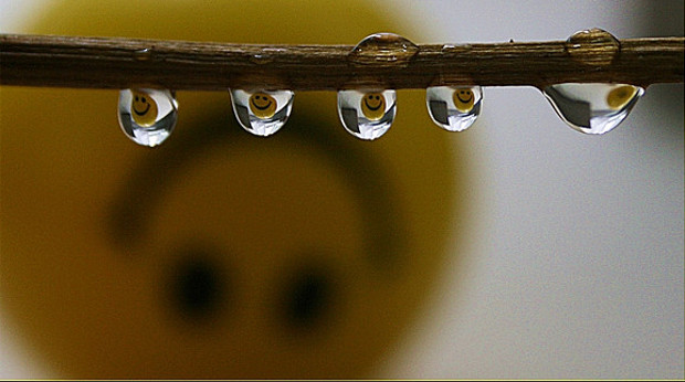 @flickr.com3345148614_95f5ae3cf7_z