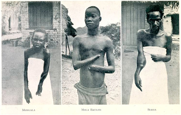 flust.gr-ιστορία