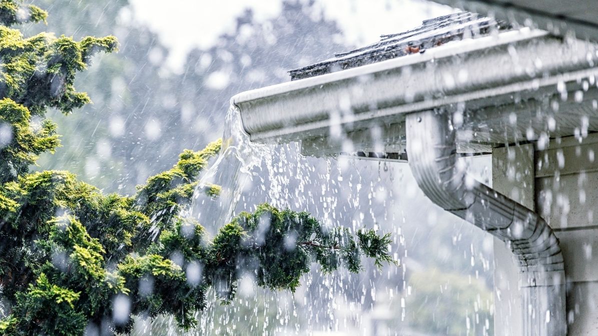 Κλιματική κρίση και ψυχική Υγεία: Η αόρατη απειλή